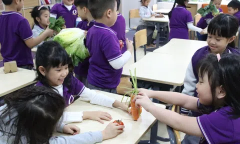Khi học sinh trở thành chủ thể: Góc nhìn chuyên gia về hành trình sống khỏe trong trường học