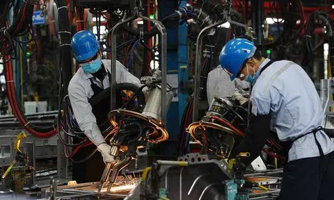 Doanh nghiệp châu Âu phàn nàn về 'rào cản' thủ tục hành chính