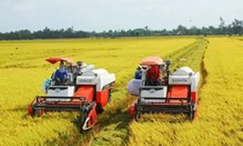 Tổng điều tra nông thôn, nông nghiệp toàn quốc