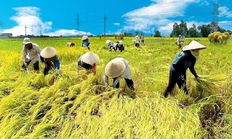 Đưa nông sản Việt vượt bão thuế, hướng tới kim ngạch 65 tỷ USD