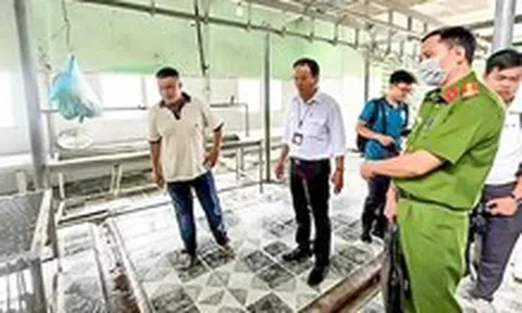 Vụ C.P. Việt Nam bị tố bán heo bệnh: Không khởi tố vụ án vì không có dấu hiệu tội phạm
