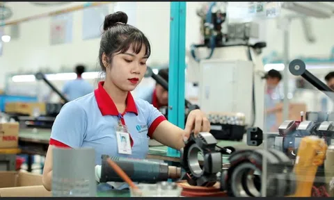 AI tiến sâu vào doanh nghiệp: Kỳ 1: 'Chạm ngõ' AI
