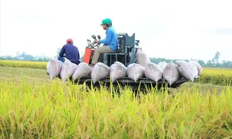 Việt Nam thu về 33,8 tỷ USD từ xuất khẩu nông sản, giao thương với Mỹ tăng mạnh