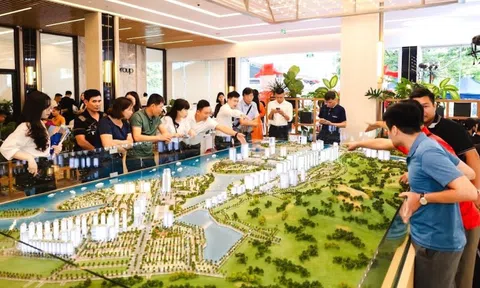 Trình đề án Trung tâm giao dịch bất động sản và quyền sử dụng đất