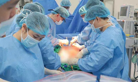 Sự sống tiếp nối từ mất mát: Hồi sinh kì diệu giữa đêm trắng