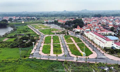 Hà Nội: Rầm rộ đấu giá đất rồi... bỏ hoang lãng phí