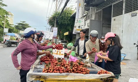 Vải thiều đại hạ giá tại TPHCM