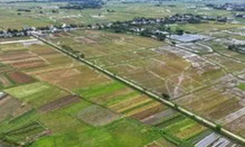 Hàng ngàn tỉ đồng thuế đất mỗi năm tiếp tục được miễn, bà con nông dân yên tâm sản xuất