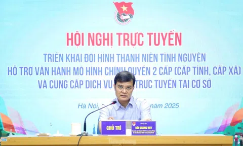 Thanh niên tình nguyện dồn sức hỗ trợ vận hành chính quyền 2 cấp ở xã, phường, đặc khu
