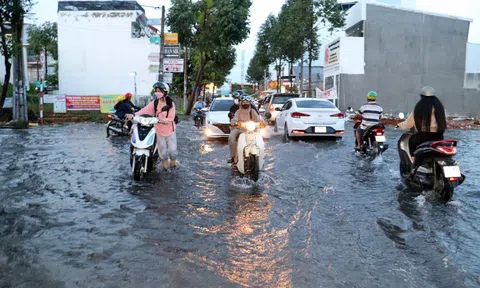 Chủ tịch Cần Thơ treo thưởng 50 triệu đồng, cất nhắc cán bộ có sáng kiến chống ngập