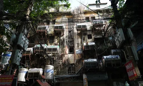 Hà Nội: Dừng triển khai dự án cải tạo khu tập thể Nguyễn Công Trứ
