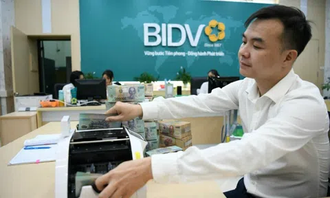 Forbes Việt Nam công bố 50 công ty niêm yết tốt nhất năm 2025: BIDV đứng đầu nhóm ngân hàng, BIC xếp thứ 43
