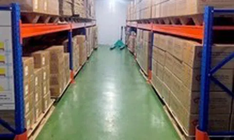 Pallet từ phế phẩm nông nghiệp vào chuỗi cung ứng toàn cầu