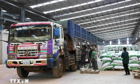 Doanh nghiệp xuất sang Trung Quốc bị từ chối thông quan do sáp nhập tỉnh, huyện, xử lý thế nào?