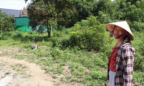 Vụ nộp gần 4,5 tỷ tiền thuế chuyển đổi đất vườn: Khu đất được áp giá bằng 60% bảng giá đất