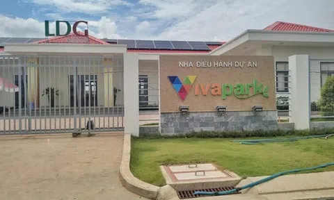 Bất thường cổ phiếu LDG