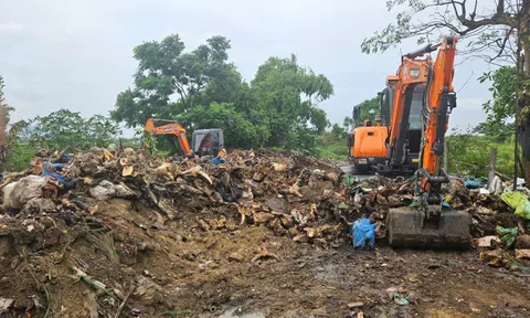 Nghệ An: Thu dọn 'nghĩa địa đầu bò'