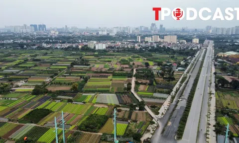 34 tỉnh, thành phải kiểm kê đất đai sau sắp xếp, xong trước ngày 20/8