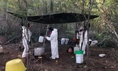 'Sát thủ thầm lặng' fentanyl - Kỳ 3: Điều chế bí mật fentanyl tử thần ở Mexico