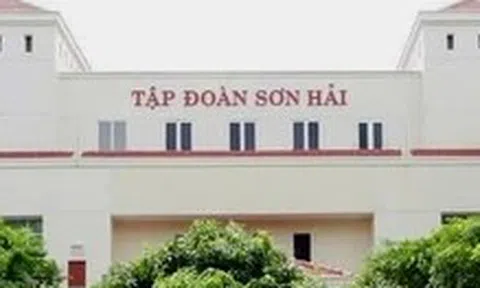Vụ Tập đoàn Sơn Hải trượt thầu: Bộ Tài chính báo cáo gì về tổ chuyên gia?