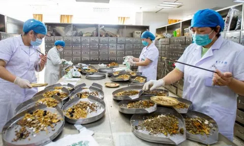 Quy định về đăng ký lưu hành thuốc cổ truyền, dược liệu