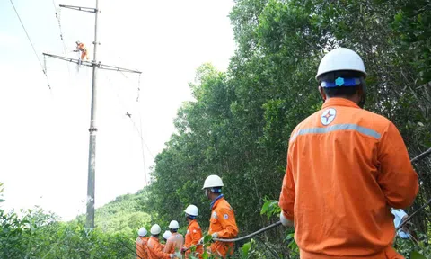 Thanh Hóa: Khai thác cây keo bị đổ vào đường dây gây cháy, chập điện