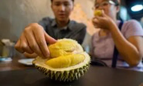 Vô lý tin đồn uống rượu với sầu riêng gây chết người
