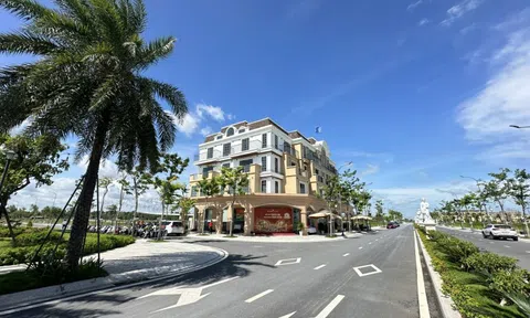 Đất nền và nhà phố phía Tây TP.HCM: Kênh đầu tư nào chiếm ưu thế?
