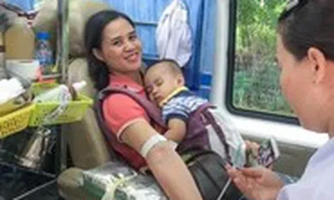TP.HCM: Khẩn trương thành lập ban chỉ đạo vận động hiến máu cấp phường, xã, đặc khu