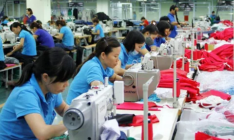 Tất cả lao động từ 16 tuổi đều được 'định danh' trong dữ liệu quốc gia
