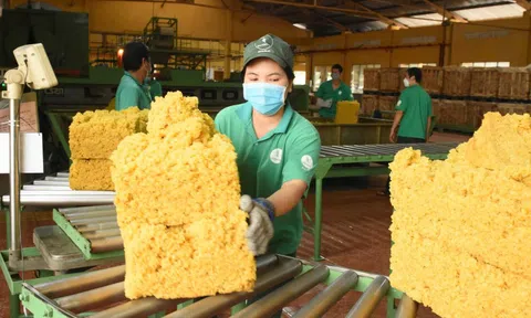 Cao su Đồng Nai – 50 năm dựng xây và phát triển bền vững