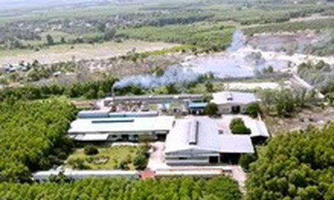 Dân phản ánh nhà máy bột cá gây mùi hôi nồng nặc, chính quyền nói gì?
