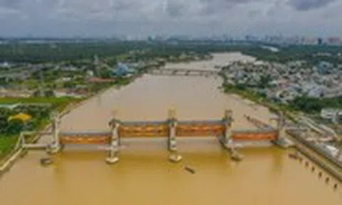 Có tin vui, không quên chuyện buồn