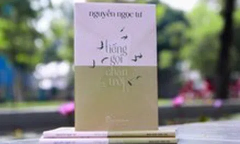 Tiếng gọi chân trời của Nguyễn Ngọc Tư hay những cuộc đi về của mưu cầu
