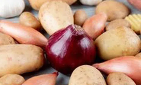Bảo quản hành và khoai tây cùng nhau không gây nguy hiểm chết người