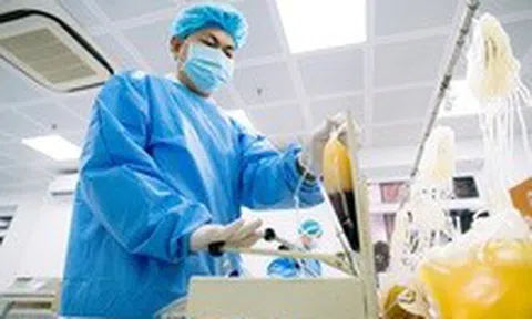 Hành trình giọt máu vàng cứu người ở Bệnh viện Chợ Rẫy