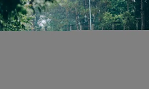 Lưu ý khi du lịch Măng Đen, Đà Lạt mùa mưa