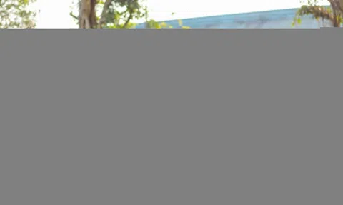 Những trải nghiệm không nên bỏ lỡ khi khám phá Sun World Ha Long