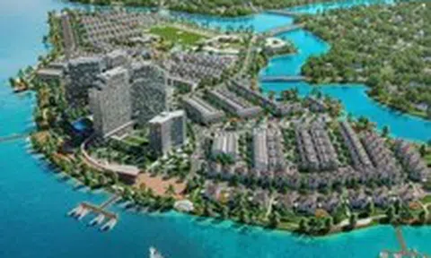 85 dự án nào tại Đồng Nai được Thanh tra Chính phủ yêu cầu và trực tiếp thanh tra?