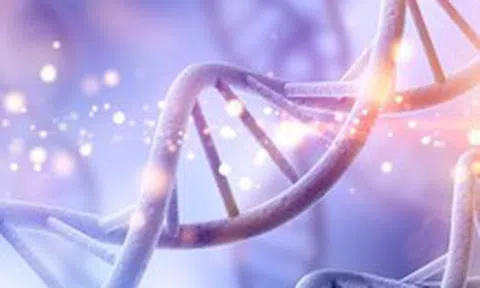 Phát hiện mã di truyền bí mật trong ADN người