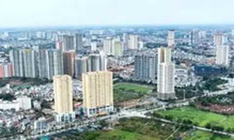 Đề xuất đánh thuế nhà đất không sử dụng