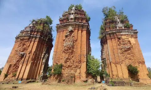 Nghiên cứu khai quật khảo cổ cụm tháp Chăm Dương Long