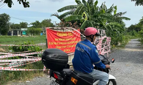 Cầu dân sinh ở TP.HCM bị cuốn trôi sau mưa
