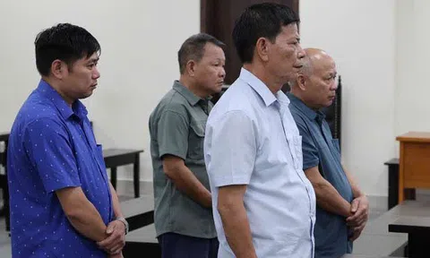 Nhóm lãnh đạo xã lãnh án vì ký 114 hồ sơ khống bán 44ha đất rừng phòng hộ