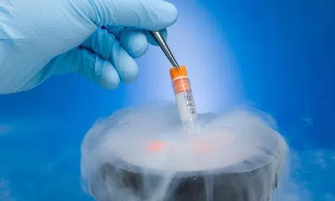 Quy định tiêu chuẩn sức khỏe của người nhận tinh trùng, noãn, phôi