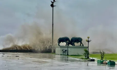 70% Biển Đông có bão trong vài ngày tới, dự báo vào thẳng vịnh Bắc Bộ