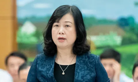 Bộ trưởng Đào Hồng Lan: 'Tỉ lệ giả có thể lên đến 50% với thuốc bán qua mạng'