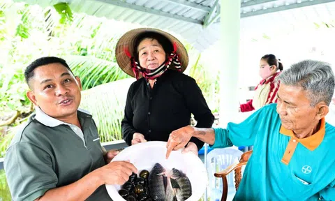 Về vùng cá đồng U Minh Thượng nghe dân kể chuyện ăn nên làm ra nhờ nuôi cá đồng