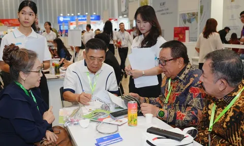 Hàng trăm đoàn thu mua quốc tế đến Việt Nam tìm cơ hội hợp tác, kiếm nguồn cung