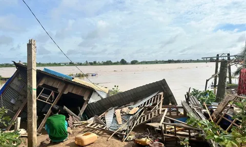 Sạt lở bờ sông Hậu dài 100m, ăn sâu vào đất liền 25m